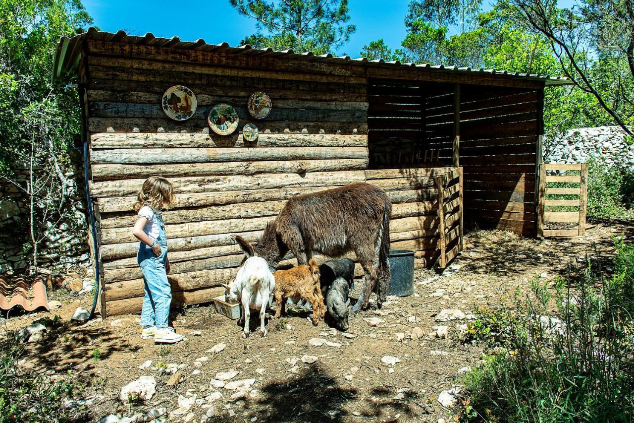 Casal Das Fontainhas الكوباسا المظهر الخارجي الصورة